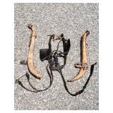 Vintage Horse Bridle Lot