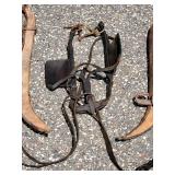 Vintage Horse Bridle Lot