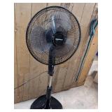 Amazon Basics Oscillating Dual Blade Standing Pedestal Fan,16-Inch, Black