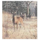 Limited Edition "Autumn Challenge" Framed Print by Jim Kasper