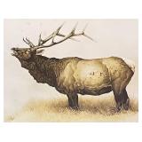 Framed Wildlife Print