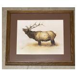 Framed Wildlife Print