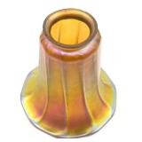 Quoizel Glass Light Shade