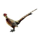 Antique Austria Cold Painted Bronze Pheasant Figurine