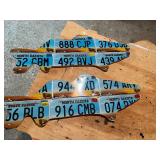 License Plate Art - ND Plates - Fish