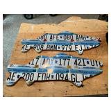 License Plate Art - MN Plates - Fish