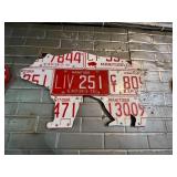 License Plate Art - Bear with Manitoba Plates