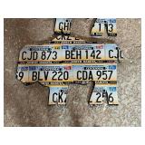 License Plate Art - 3 Bison with ND Plates - 29" Long