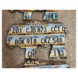 License Plate Art - 3 Bison with ND Plates - 29" Long