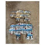 ND & MN License Plate Bison Art