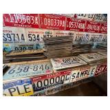 Complete Wall & Shelf of License Plates