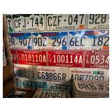 Complete Wall & Shelf of License Plates