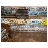 Complete Wall & Shelf of License Plates