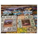 Large Lot of License Plate Artwork - 17 Pieces