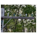 Telephone Pole & Glass Insulators