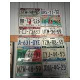 Board Full of Mexican License Plates