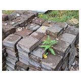 Lot of  Paver Bricks