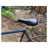 Sekai 1000 24" 10-speed Street Bike 23" Blue Frame