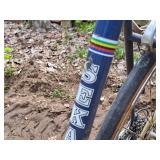 Sekai 1000 24" 10-speed Street Bike 23" Blue Frame