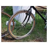 Safari North Woods 21" Tandem Bike 21" Frame