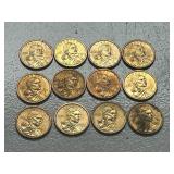 Lot Of (12) Sacagawea Dollar Coins