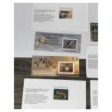 7 - Minnesota Un-Signed Duck & Trout Stamps