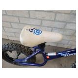 Novara "Zipper" Childs Bicycle - NO SHIPPING