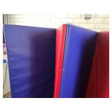 Mancino Folding Gym Mat - Approx. 10