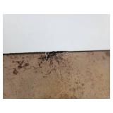 Airplane Décor - Propeller Spins Freely! NO SHIPPING