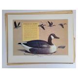 Pair of Art Print Portfolios of Remington