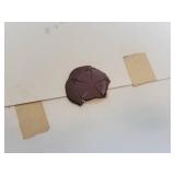 Minnesota Centennial 1849-1949 Aluminum License Plate and 1904 "Scientific American" Magazine, 1937 "Napolean" Comic, 1930 Dodge Eight Litho and More