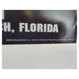 Budweiser "Shootout at Daytona" - Dale Earnhardt vs. Dale Earnhardt, Jr. on February 11, 2001 - Dale Earnhardt Would Pass Away 7 Days After This Televised Event.