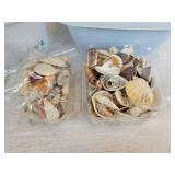 Lot of Glass Marbles and Sea Shells for Home Décor - NO SHIPPING