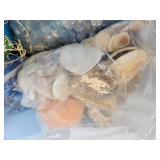 Lot of Glass Marbles and Sea Shells for Home Décor - NO SHIPPING