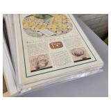 (120+) Vintage Magazine Ads from the 1920s to 1950s - All are Cardboard Backed and Plastic Sleeved - Topics are Shoes, Food, Cleaners and More