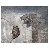 Black Truper Two Wheeled Wheelbarrow