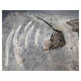 Black Truper Two Wheeled Wheelbarrow