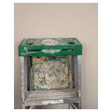 Werner 4 ft. 225 Lbs. Capacity Ladder and 2-Step Stool