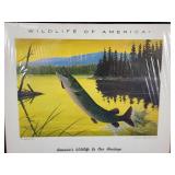 (3) Vintage Wildlife of America Calendars