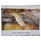 (3) Vintage Wildlife of America Calendars