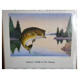 (3) Vintage Wildlife of America Calendars