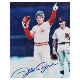 Major League Baseball