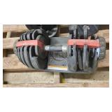 2x Adjustable weight sets