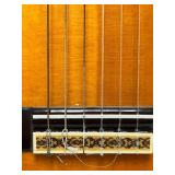 JASMINE by TAKAMINE model # C-28 Acoustic Guitar with Case