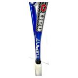 HEAD Tour Team Bag with Ti SPIRIT NANO Titanium Racquet with PENN Tennis Balls