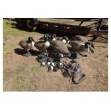 *7* Flambeau Judge Full Bodied Goose Decoys with Extra Pieces