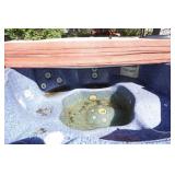 Hot Tub with Cover