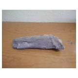Large Piece Fossilized Wood