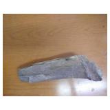 Large Piece Fossilized Wood