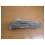 Large Piece Fossilized Wood